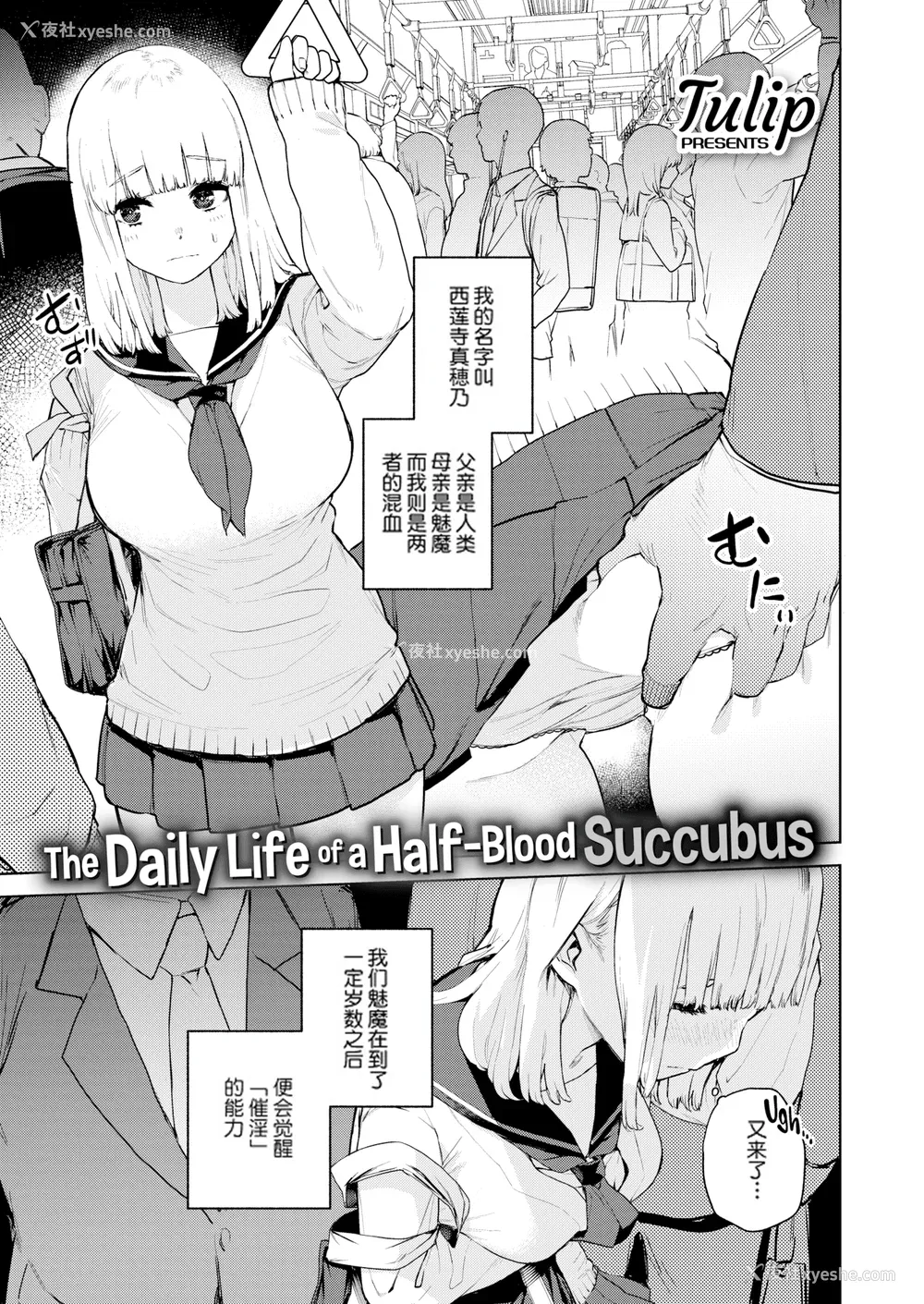 5P - [ちゅーりっふ。] 混血サキュバスたちの日常 [中国翻訳] [无修正] [DL版]