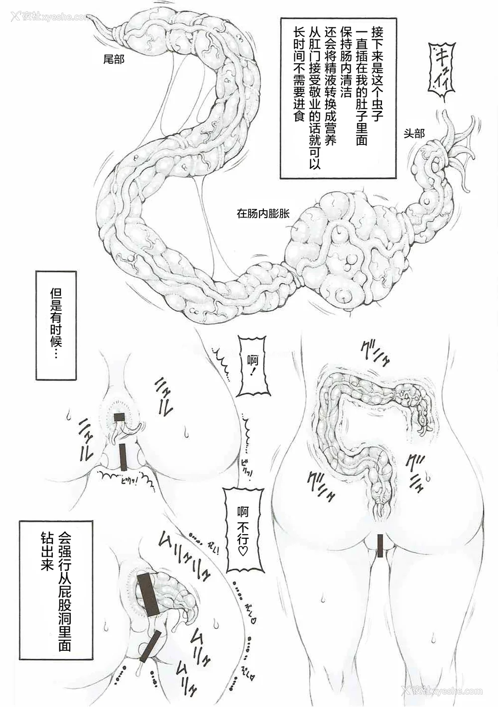 452P - [暴れん坊天狗 (泉ゆうじろ～)] 虫鸟 Zero1-3,1-16 ジャプニカ(Fate／Grand Order) [DL版][中国翻訳][疏码]