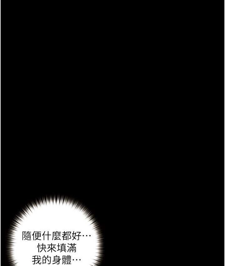 6P - 堕落物语