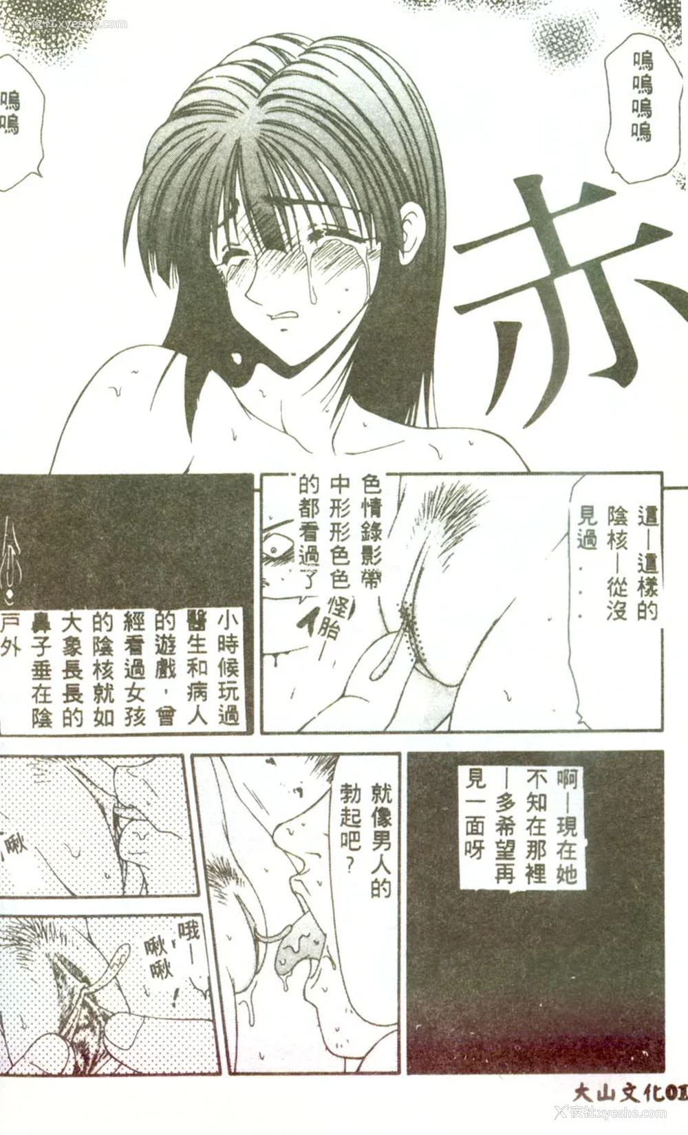 15P - [伊驹一平] 人妻凌辱 [中国翻訳]