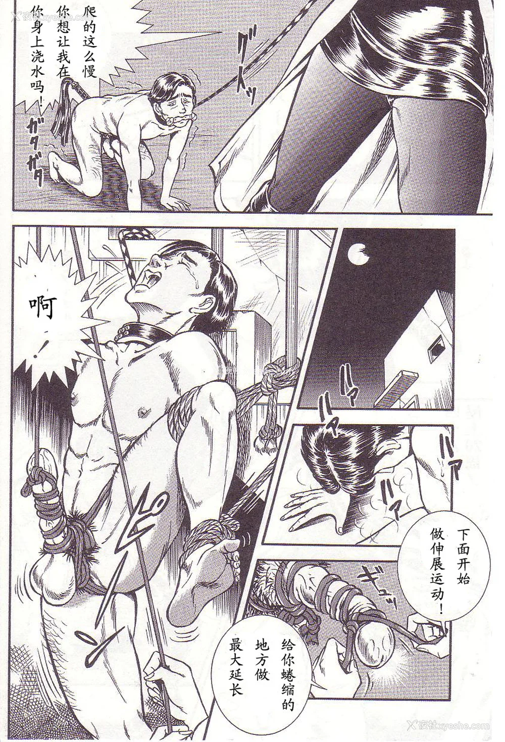 127P - [暗藻ナイト] コミックマゾ2