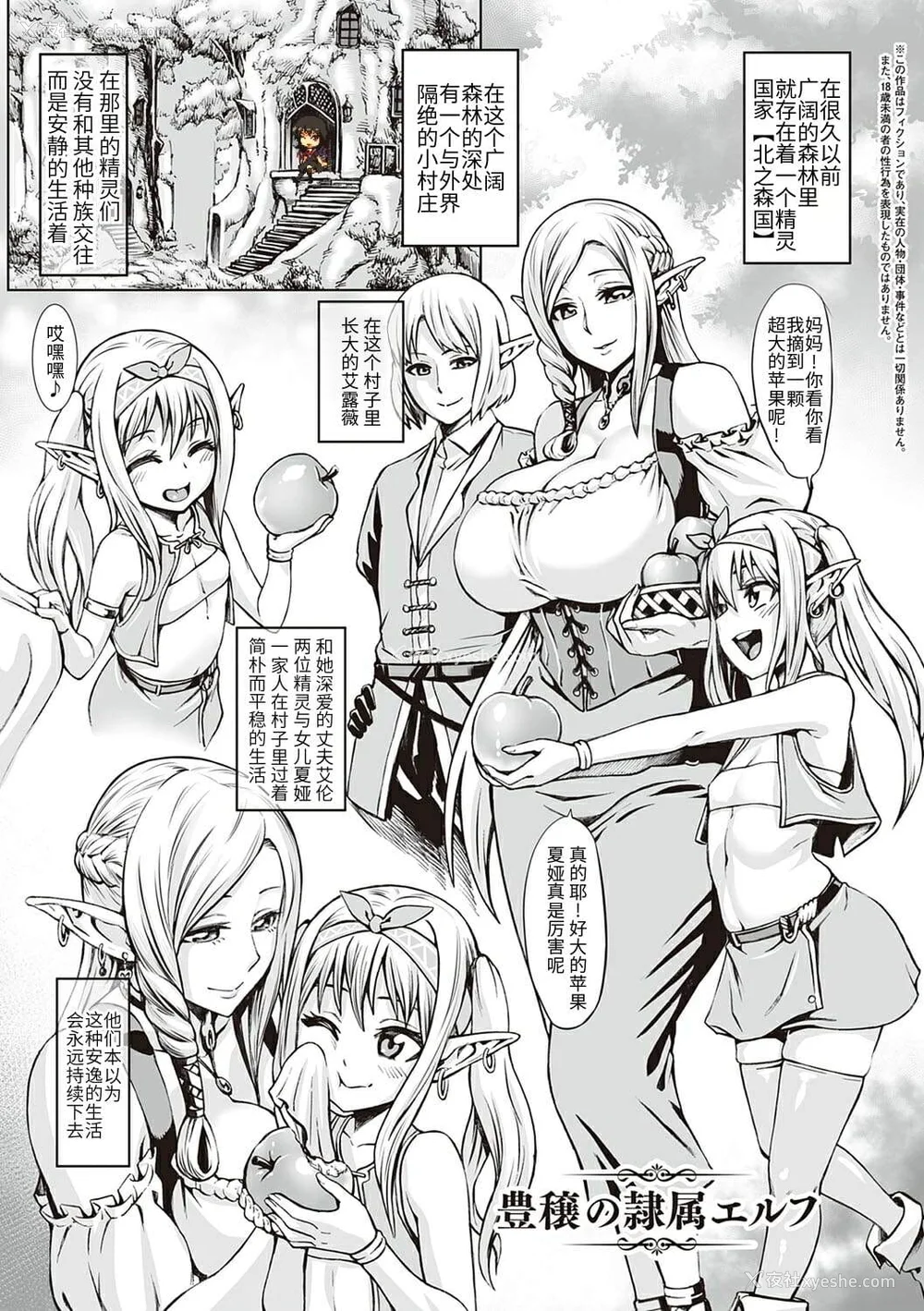 15P - [青豆腐(ねろましん)]豊穣の隷属エルフ Ⅰ-Ⅶ & Aft,IF线,小说特典 元奴○エルフの秘め事  [DL版][中国翻訳][疏码]