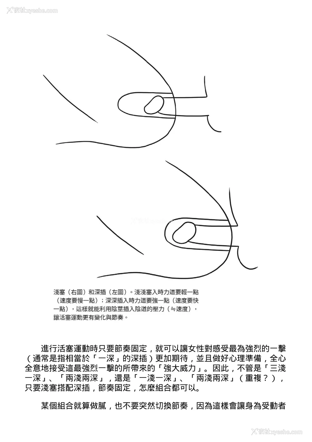 110P - [由良桥势] 膣挿入＆ピストン运动完全マニュアル イラスト版……ピスとんッ！｜抽插攻略：图解阴道插入．活塞运动完全指南