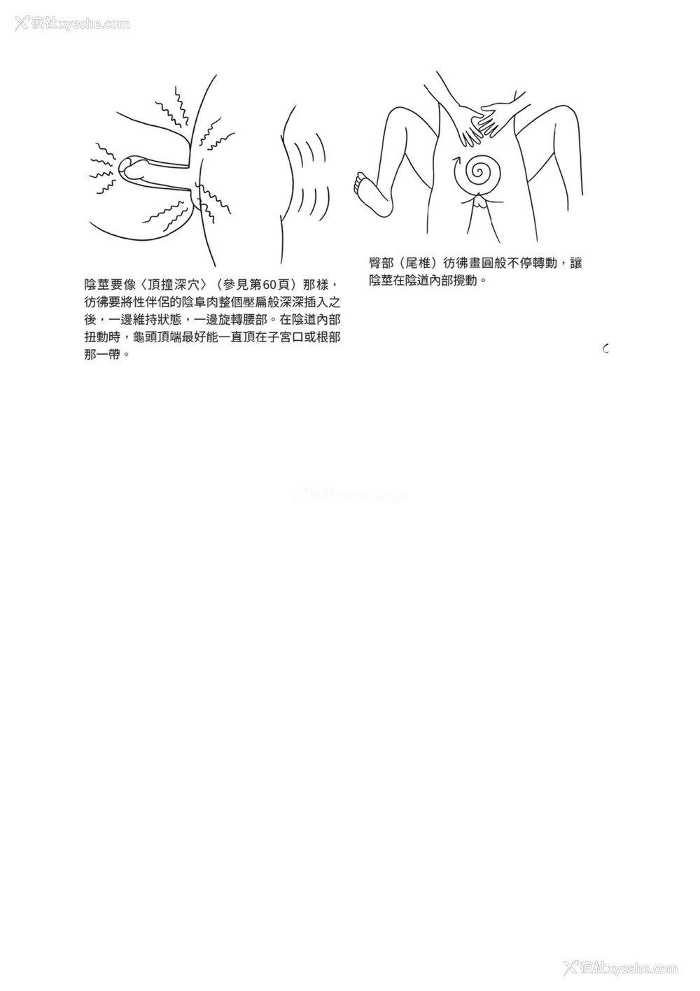 145P - [由良桥势] 膣挿入＆ピストン运动完全マニュアル イラスト版……ピスとんッ！｜抽插攻略：图解阴道插入．活塞运动完全指南