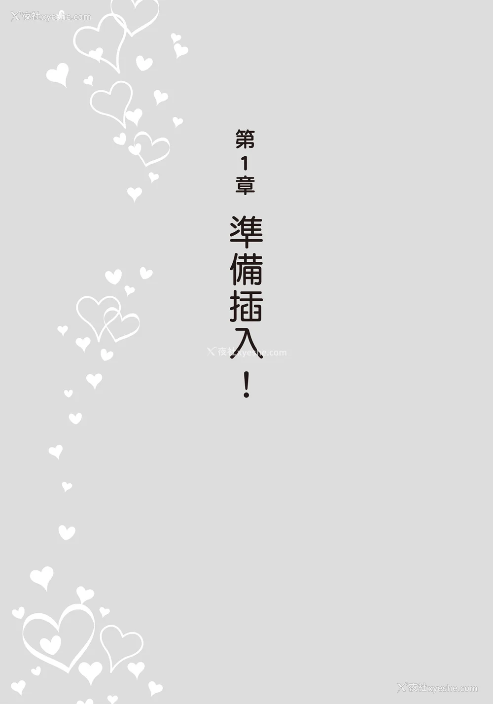 14P - [由良桥势] 膣挿入＆ピストン运动完全マニュアル イラスト版……ピスとんッ！｜抽插攻略：图解阴道插入．活塞运动完全指南
