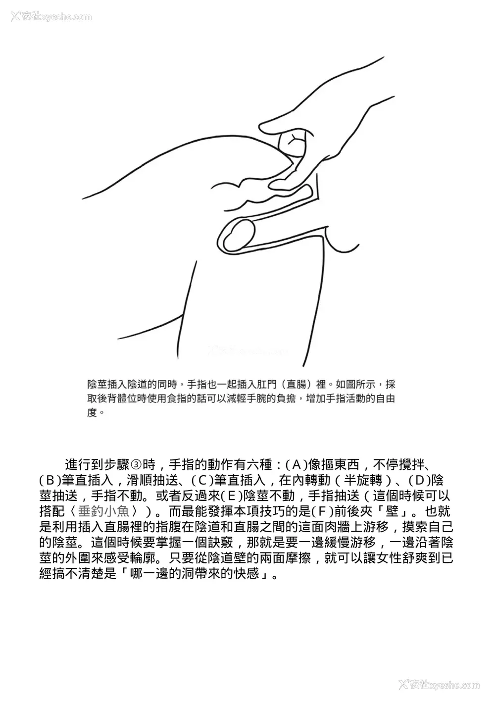 153P - [由良桥势] 膣挿入＆ピストン运动完全マニュアル イラスト版……ピスとんッ！｜抽插攻略：图解阴道插入．活塞运动完全指南