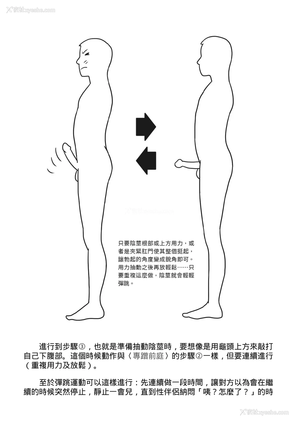 165P - [由良桥势] 膣挿入＆ピストン运动完全マニュアル イラスト版……ピスとんッ！｜抽插攻略：图解阴道插入．活塞运动完全指南