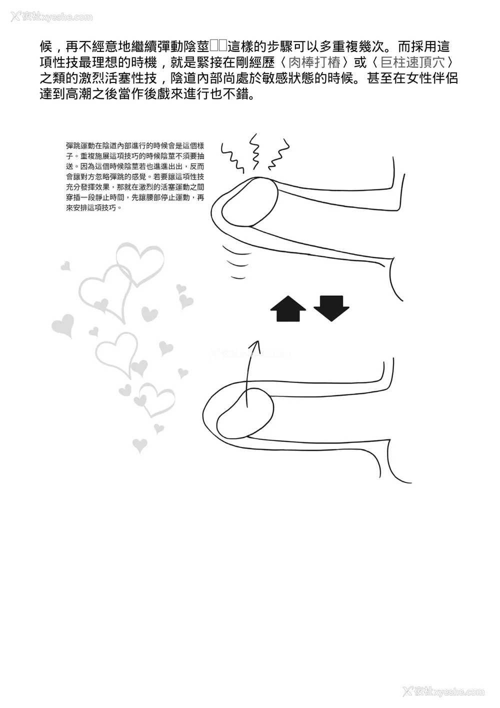 166P - [由良桥势] 膣挿入＆ピストン运动完全マニュアル イラスト版……ピスとんッ！｜抽插攻略：图解阴道插入．活塞运动完全指南