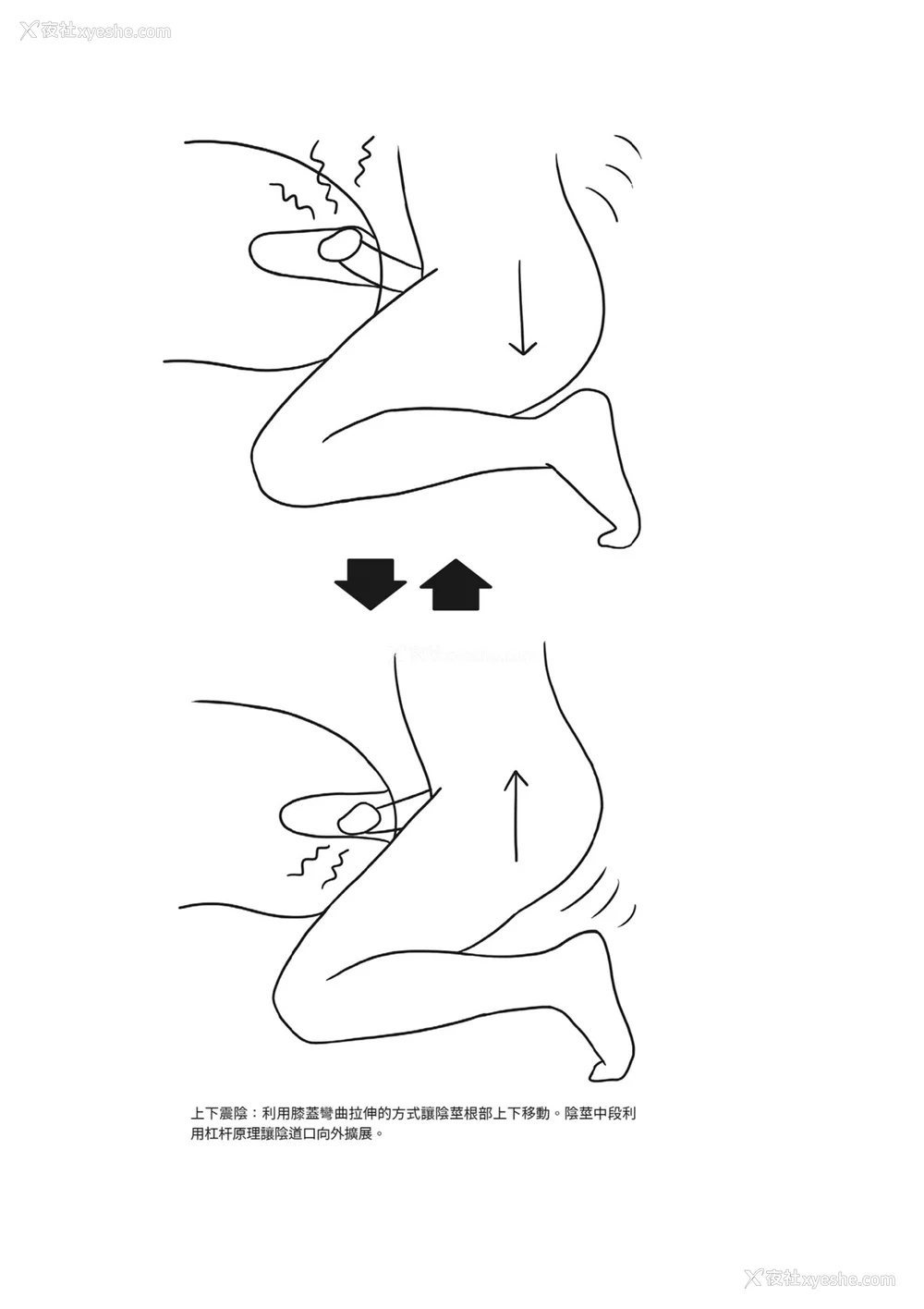 170P - [由良桥势] 膣挿入＆ピストン运动完全マニュアル イラスト版……ピスとんッ！｜抽插攻略：图解阴道插入．活塞运动完全指南