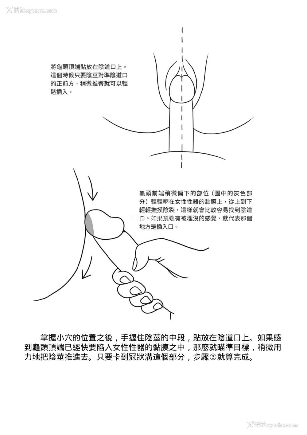 17P - [由良桥势] 膣挿入＆ピストン运动完全マニュアル イラスト版……ピスとんッ！｜抽插攻略：图解阴道插入．活塞运动完全指南