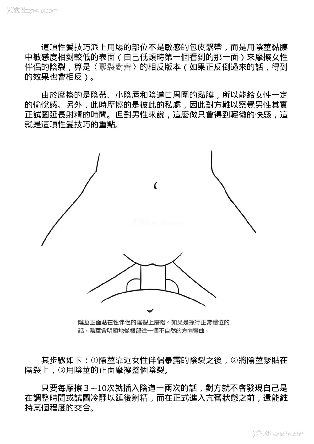 186P - [由良桥势] 膣挿入＆ピストン运动完全マニュアル イラスト版……ピスとんッ！｜抽插攻略：图解阴道插入．活塞运动完全指南