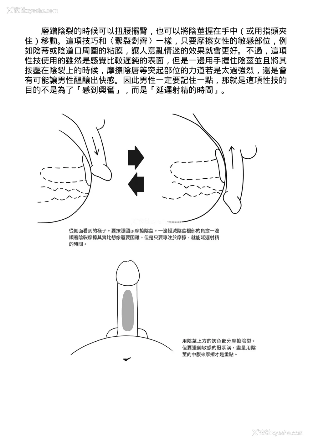 187P - [由良桥势] 膣挿入＆ピストン运动完全マニュアル イラスト版……ピスとんッ！｜抽插攻略：图解阴道插入．活塞运动完全指南
