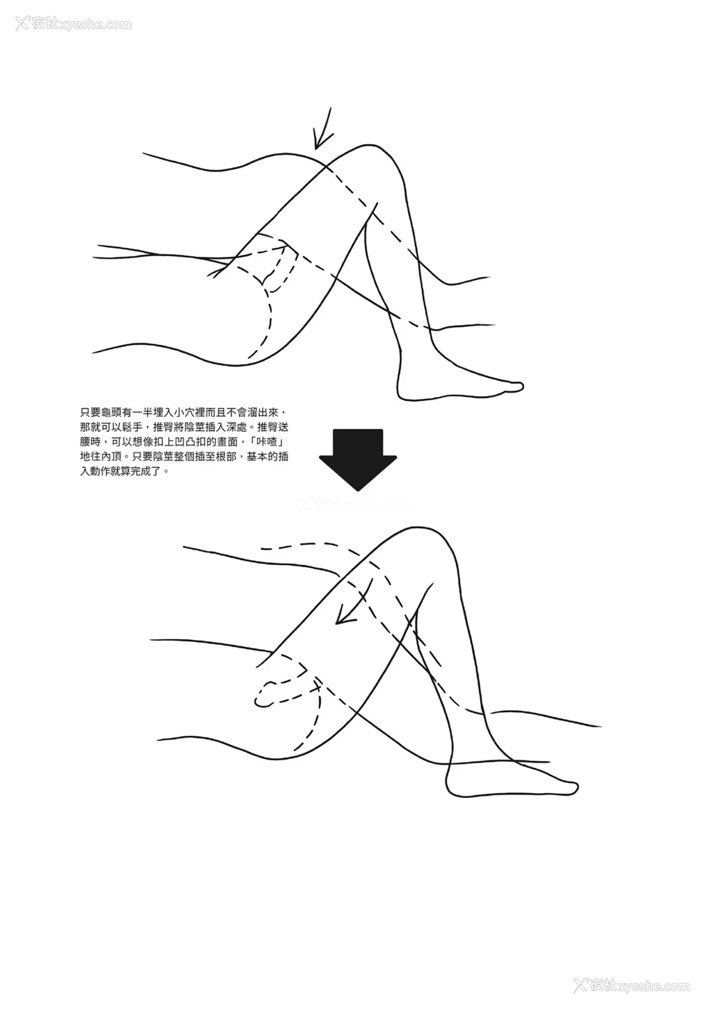 19P - [由良桥势] 膣挿入＆ピストン运动完全マニュアル イラスト版……ピスとんッ！｜抽插攻略：图解阴道插入．活塞运动完全指南