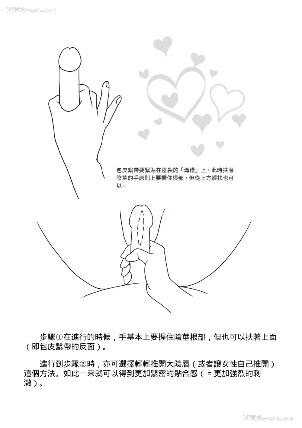 23P - [由良桥势] 膣挿入＆ピストン运动完全マニュアル イラスト版……ピスとんッ！｜抽插攻略：图解阴道插入．活塞运动完全指南