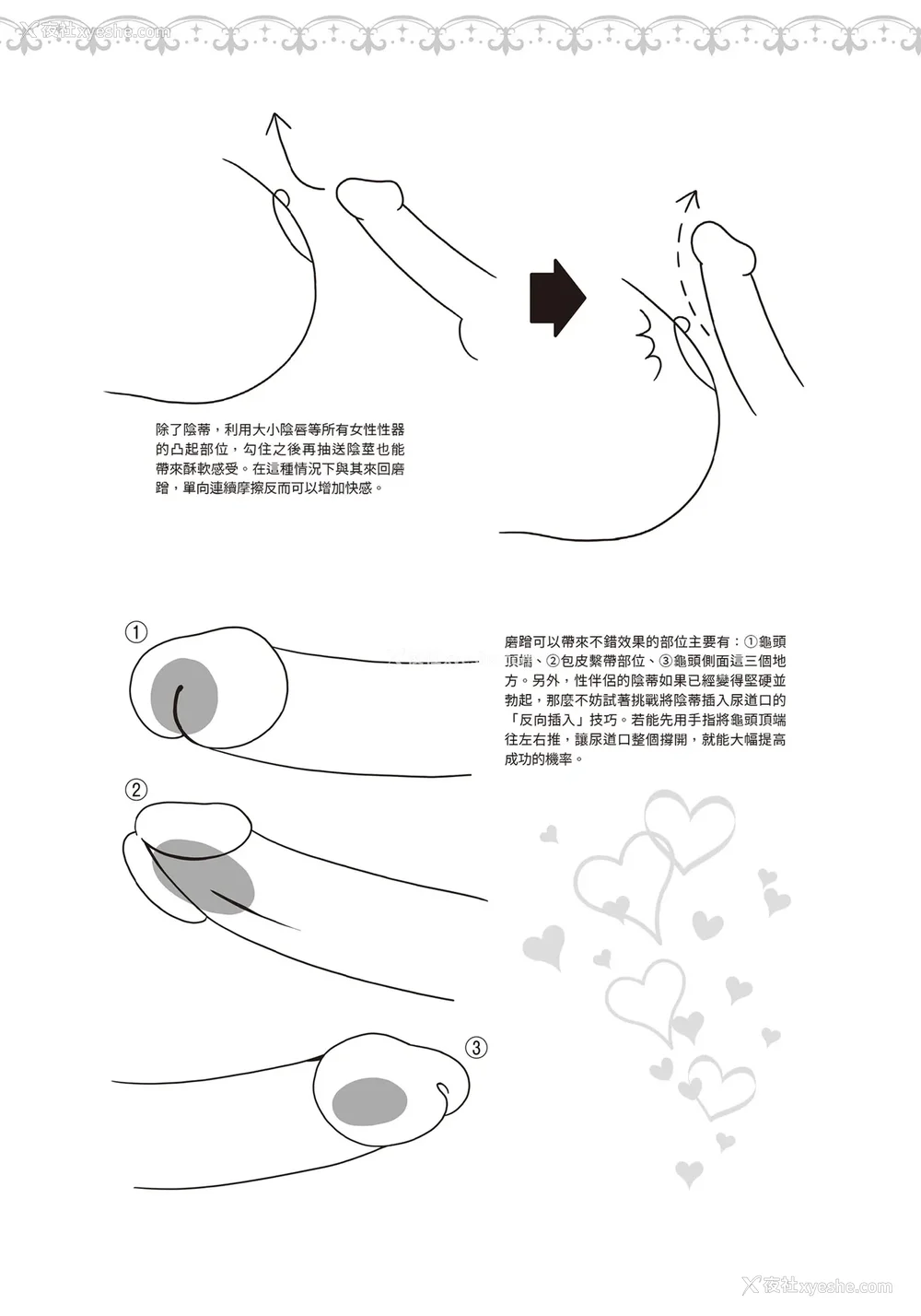 28P - [由良桥势] 膣挿入＆ピストン运动完全マニュアル イラスト版……ピスとんッ！｜抽插攻略：图解阴道插入．活塞运动完全指南