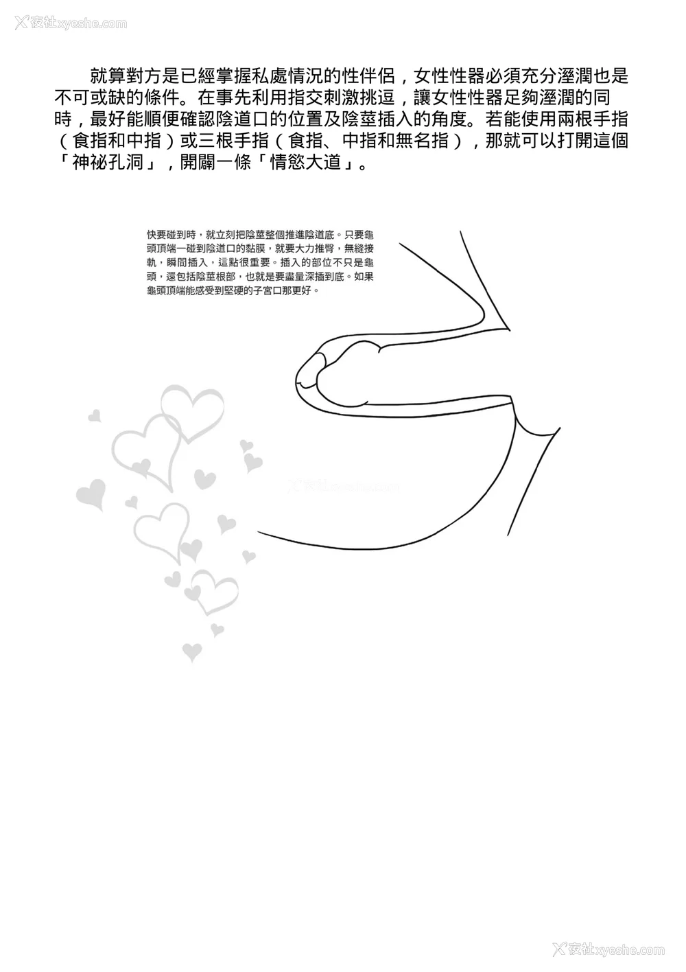 31P - [由良桥势] 膣挿入＆ピストン运动完全マニュアル イラスト版……ピスとんッ！｜抽插攻略：图解阴道插入．活塞运动完全指南