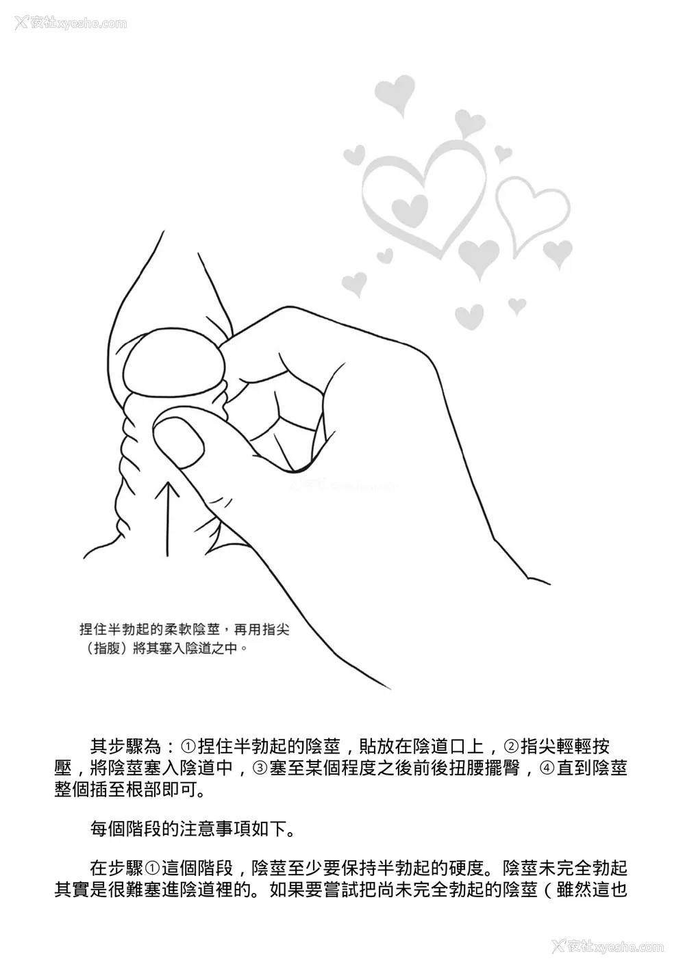 40P - [由良桥势] 膣挿入＆ピストン运动完全マニュアル イラスト版……ピスとんッ！｜抽插攻略：图解阴道插入．活塞运动完全指南