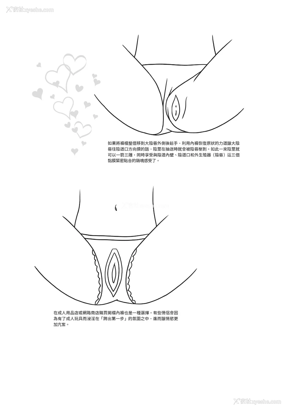 48P - [由良桥势] 膣挿入＆ピストン运动完全マニュアル イラスト版……ピスとんッ！｜抽插攻略：图解阴道插入．活塞运动完全指南