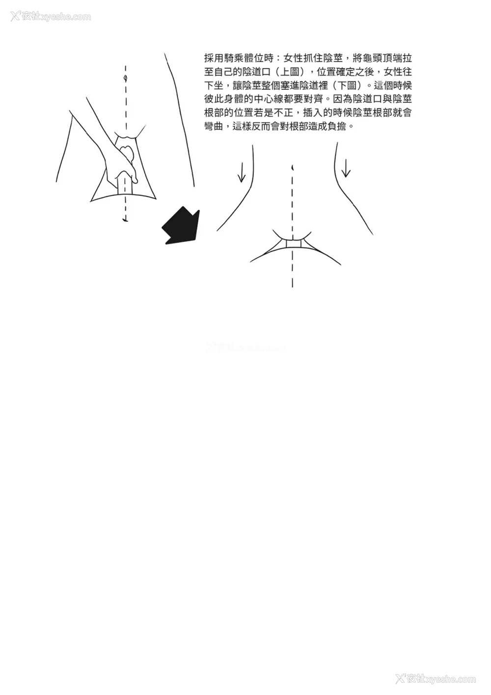 52P - [由良桥势] 膣挿入＆ピストン运动完全マニュアル イラスト版……ピスとんッ！｜抽插攻略：图解阴道插入．活塞运动完全指南