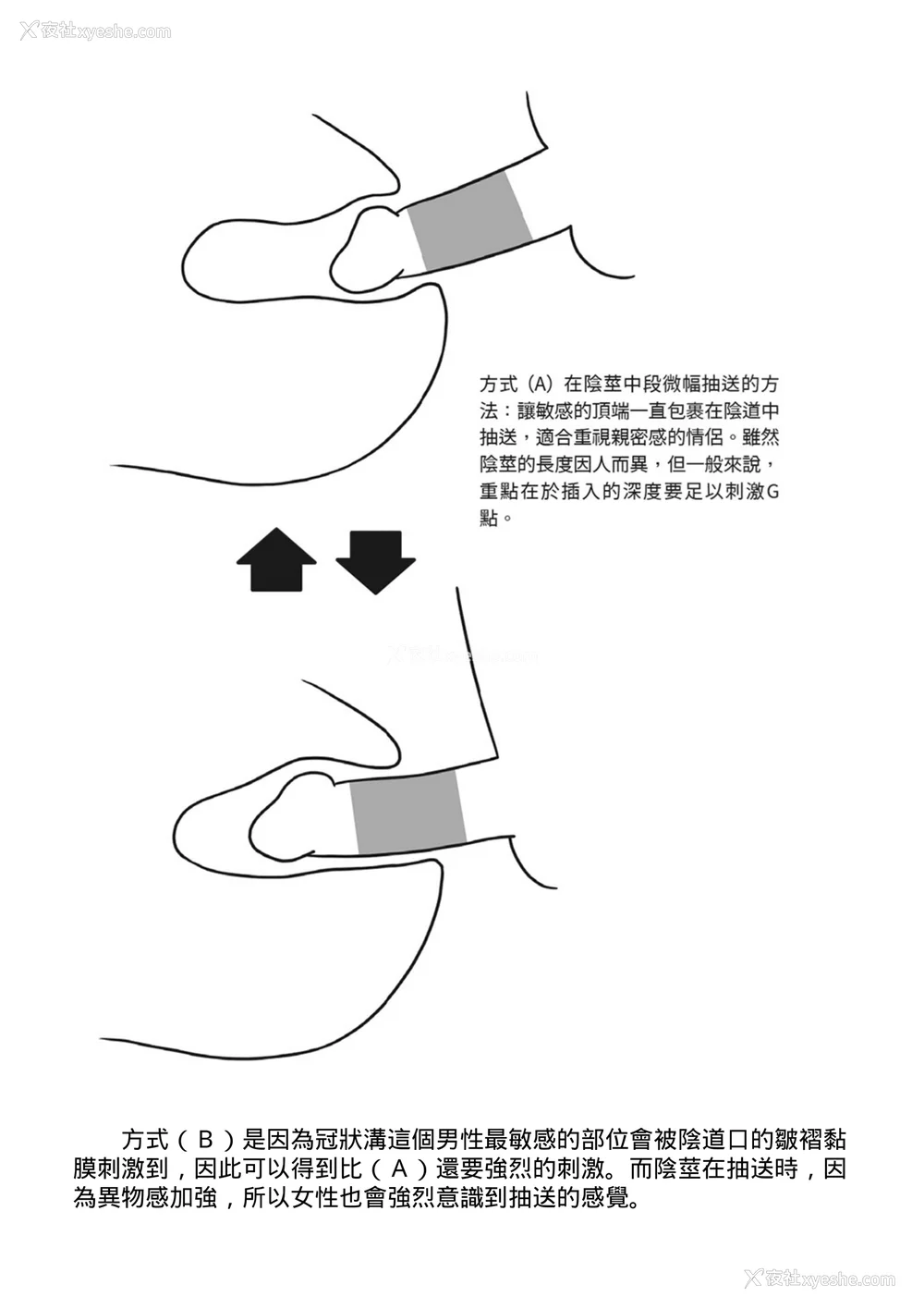 58P - [由良桥势] 膣挿入＆ピストン运动完全マニュアル イラスト版……ピスとんッ！｜抽插攻略：图解阴道插入．活塞运动完全指南