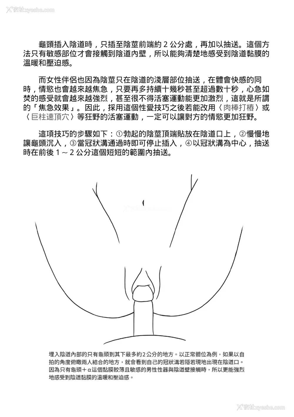 63P - [由良桥势] 膣挿入＆ピストン运动完全マニュアル イラスト版……ピスとんッ！｜抽插攻略：图解阴道插入．活塞运动完全指南