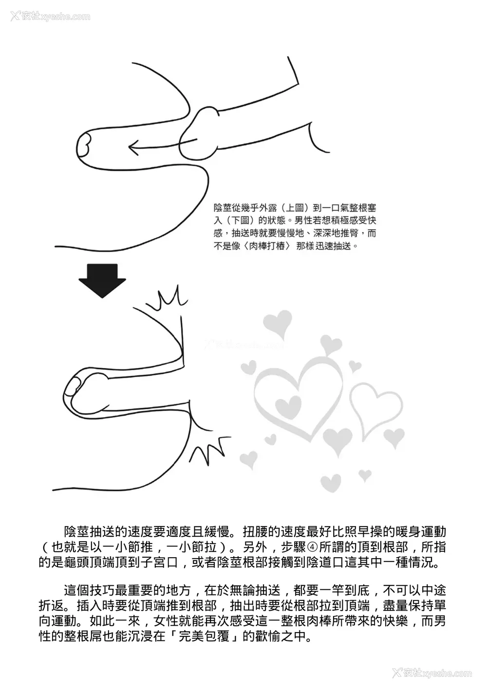 67P - [由良桥势] 膣挿入＆ピストン运动完全マニュアル イラスト版……ピスとんッ！｜抽插攻略：图解阴道插入．活塞运动完全指南