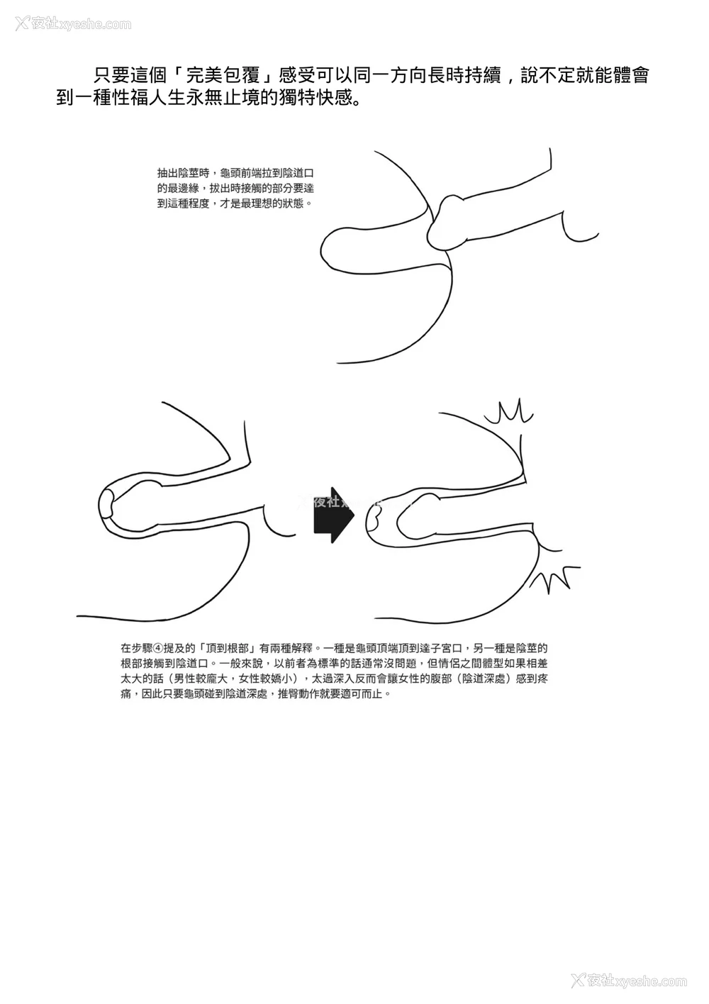 68P - [由良桥势] 膣挿入＆ピストン运动完全マニュアル イラスト版……ピスとんッ！｜抽插攻略：图解阴道插入．活塞运动完全指南