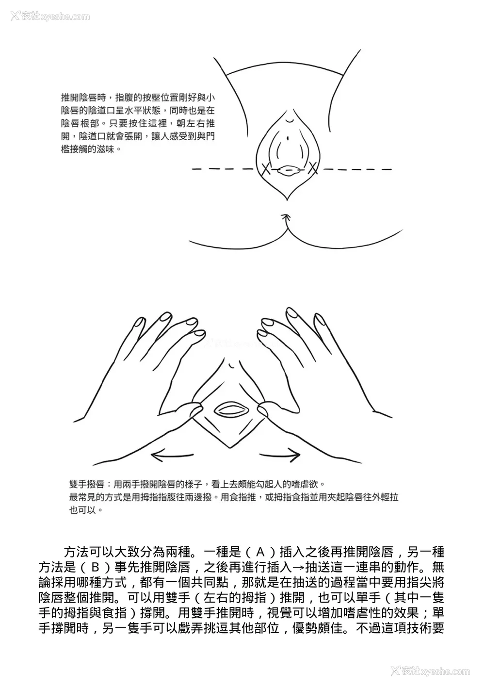 81P - [由良桥势] 膣挿入＆ピストン运动完全マニュアル イラスト版……ピスとんッ！｜抽插攻略：图解阴道插入．活塞运动完全指南