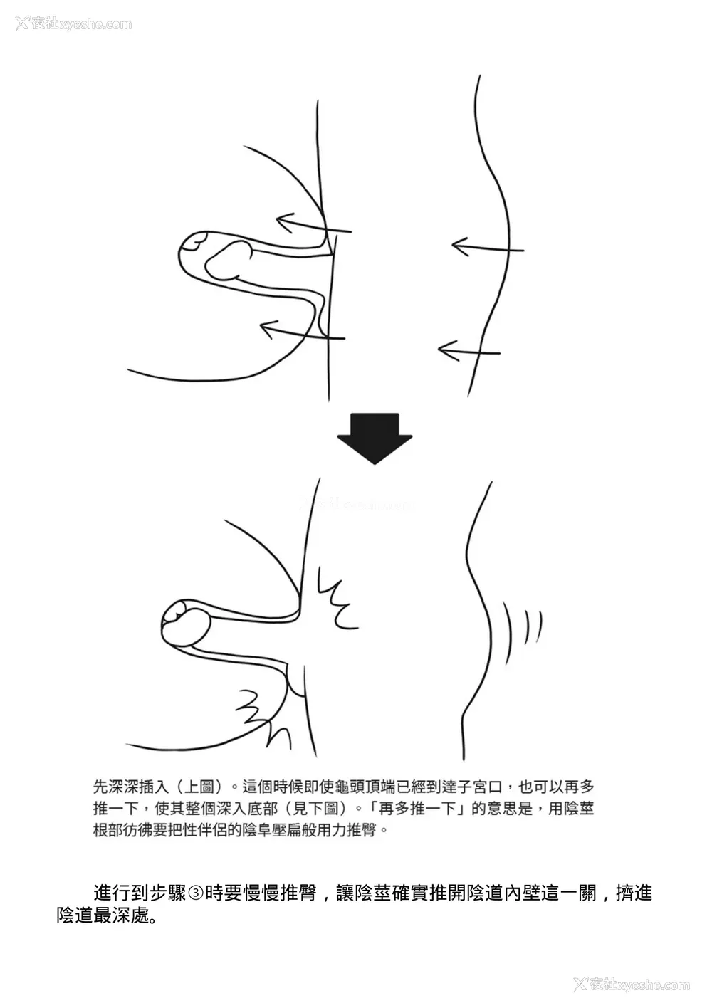 90P - [由良桥势] 膣挿入＆ピストン运动完全マニュアル イラスト版……ピスとんッ！｜抽插攻略：图解阴道插入．活塞运动完全指南