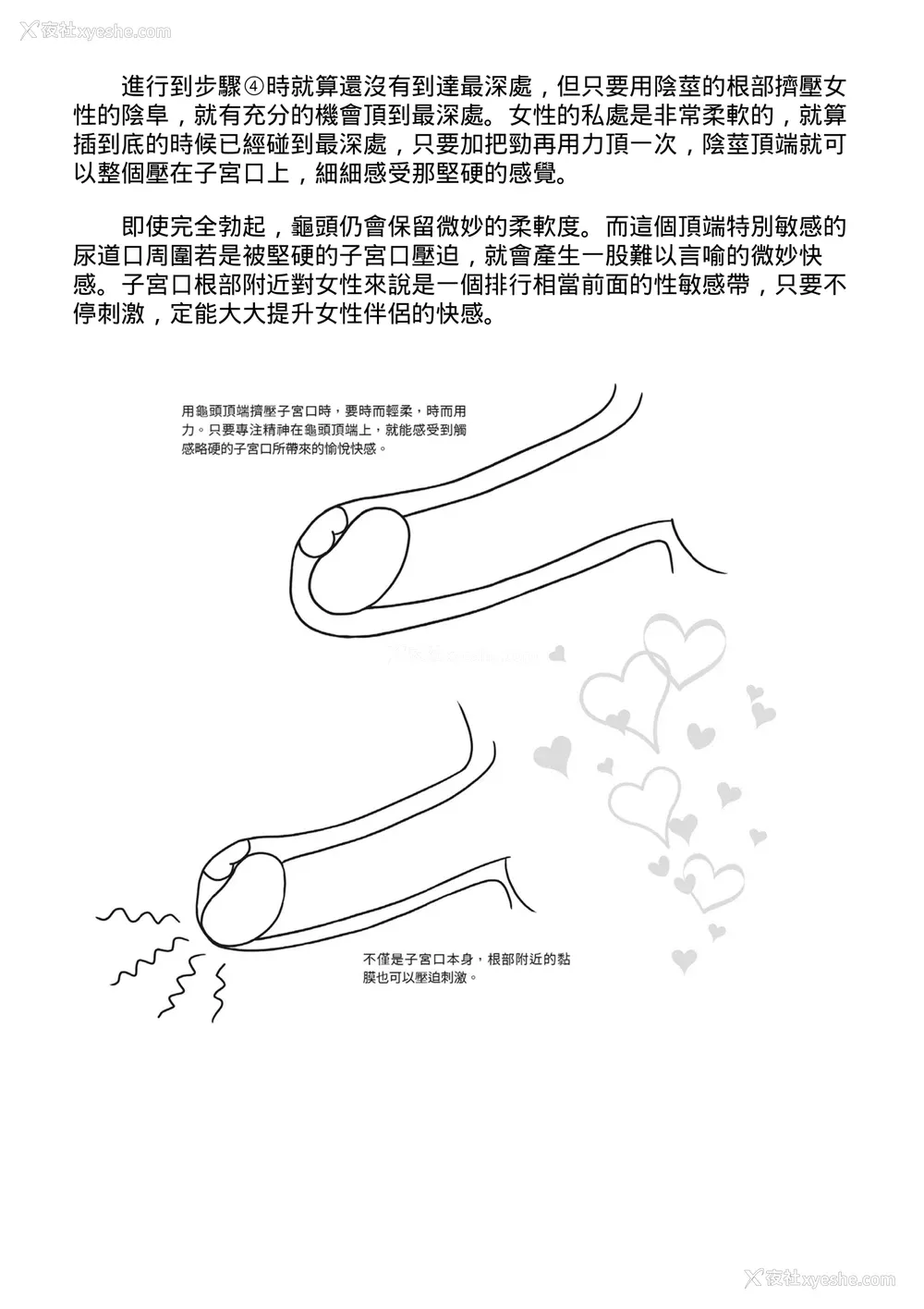 91P - [由良桥势] 膣挿入＆ピストン运动完全マニュアル イラスト版……ピスとんッ！｜抽插攻略：图解阴道插入．活塞运动完全指南