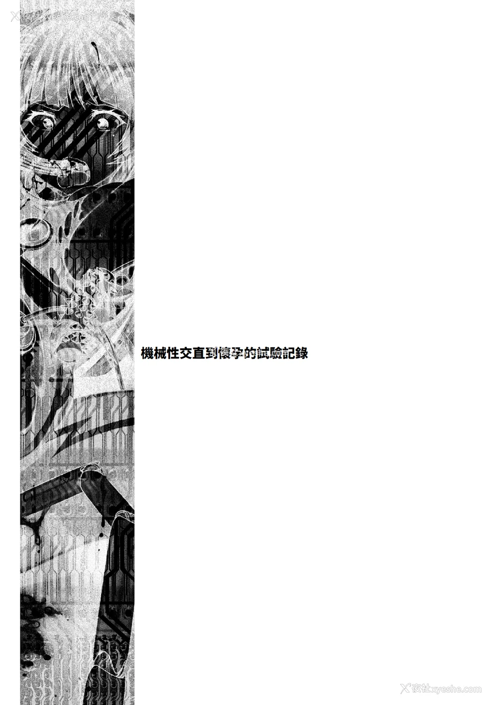 95P - [雏瀬あや] 受胎へ至る机械奸试行の记录 [中国翻訳] [DL版]