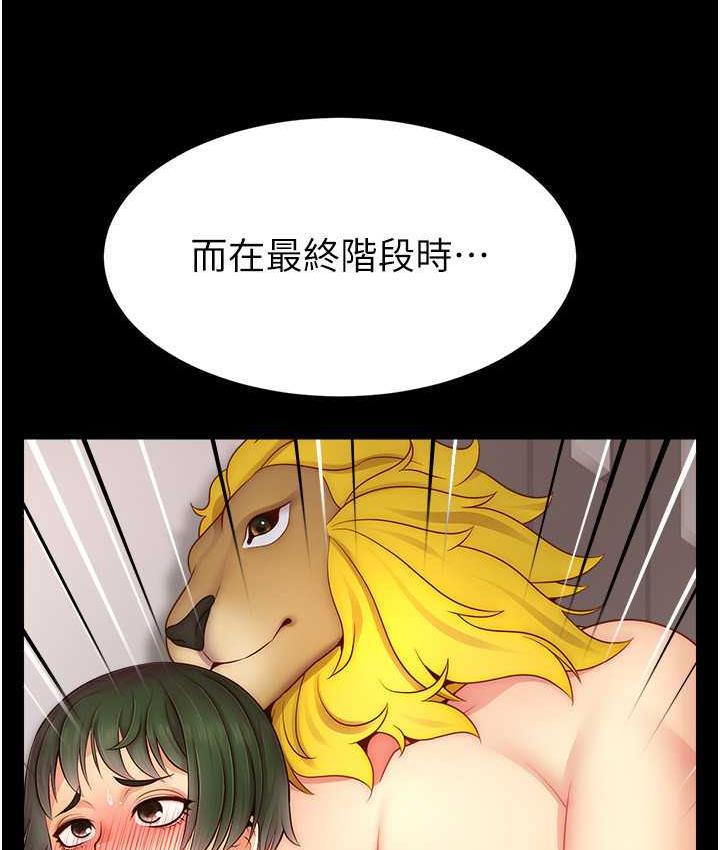 11P - 直播主的流量密码