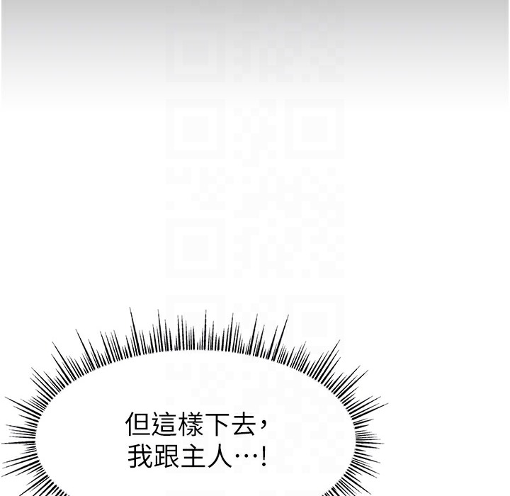 24P - 直播主的流量密码