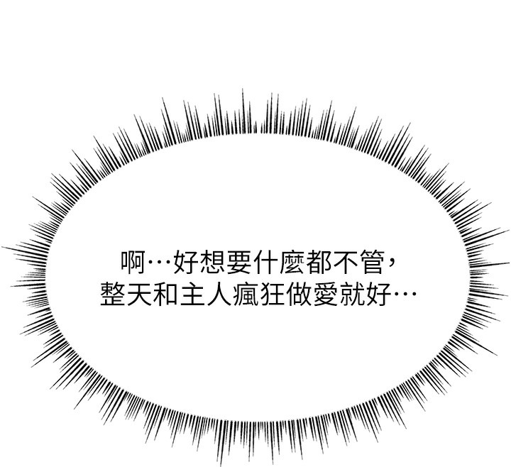 144P - 直播主的流量密码
