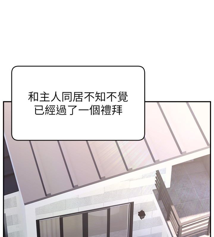 108P - 直播主的流量密码