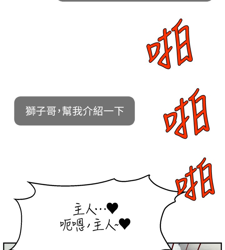 3P - 直播主的流量密码