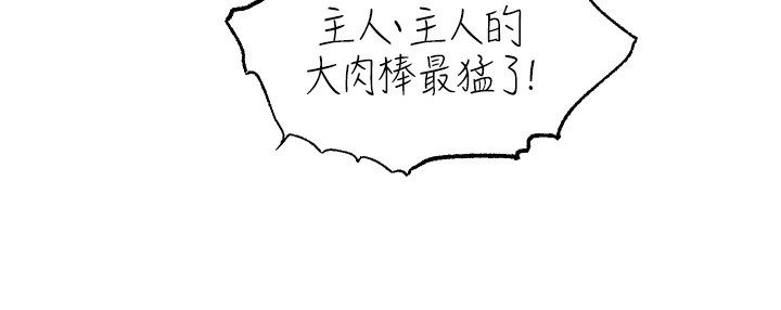 14P - 直播主的流量密码