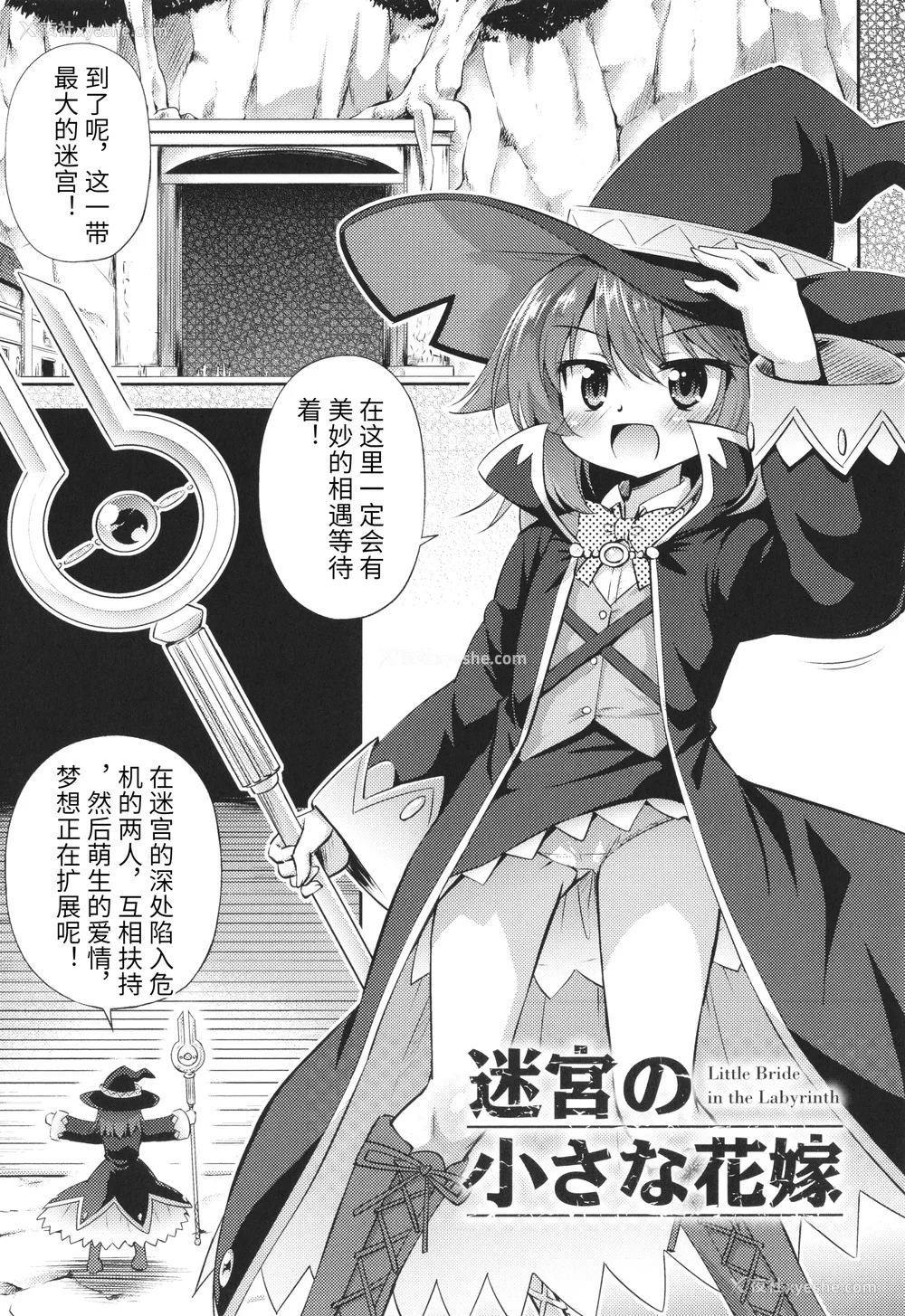 164P - [绯乃ひの] メス堕ちりとるほーる イラストカード [中国翻訳]