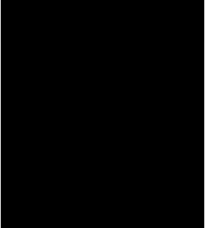 1P - 继母与继姐