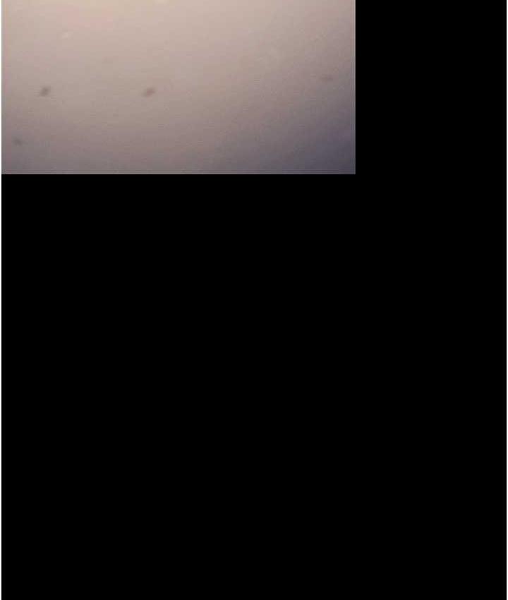 4P - 贪婪游戏