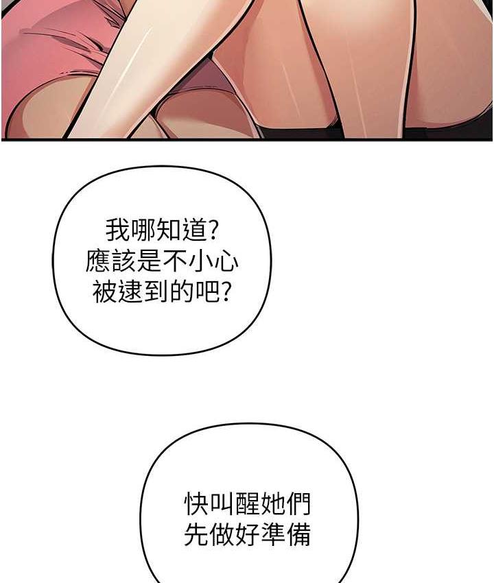 6P - 贪婪游戏