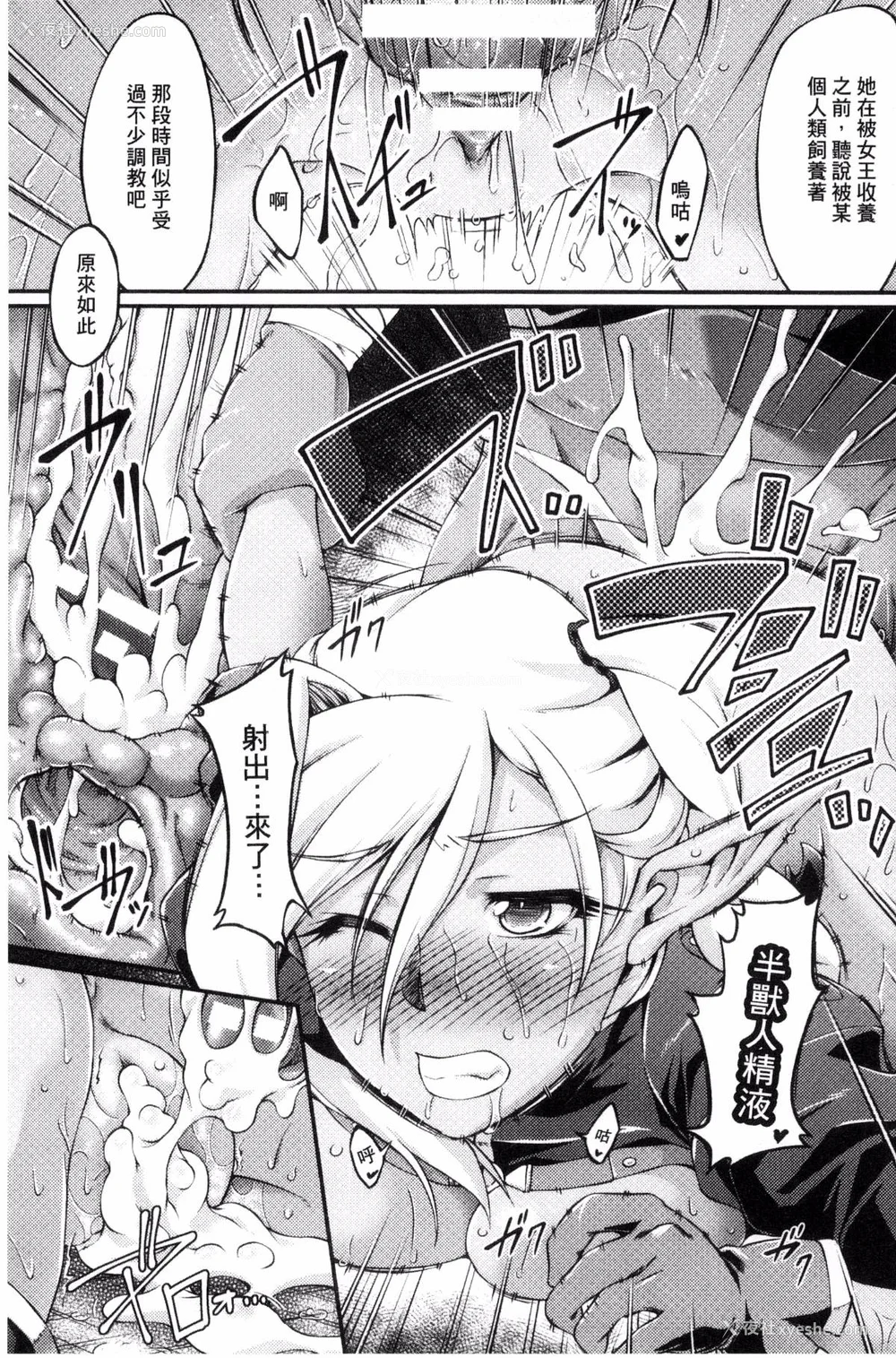 33P - [月蜥蜴] 黒獣1-2 ～淫欲に染まる背徳の都、再び～  [中国翻訳][疏码][DL版]