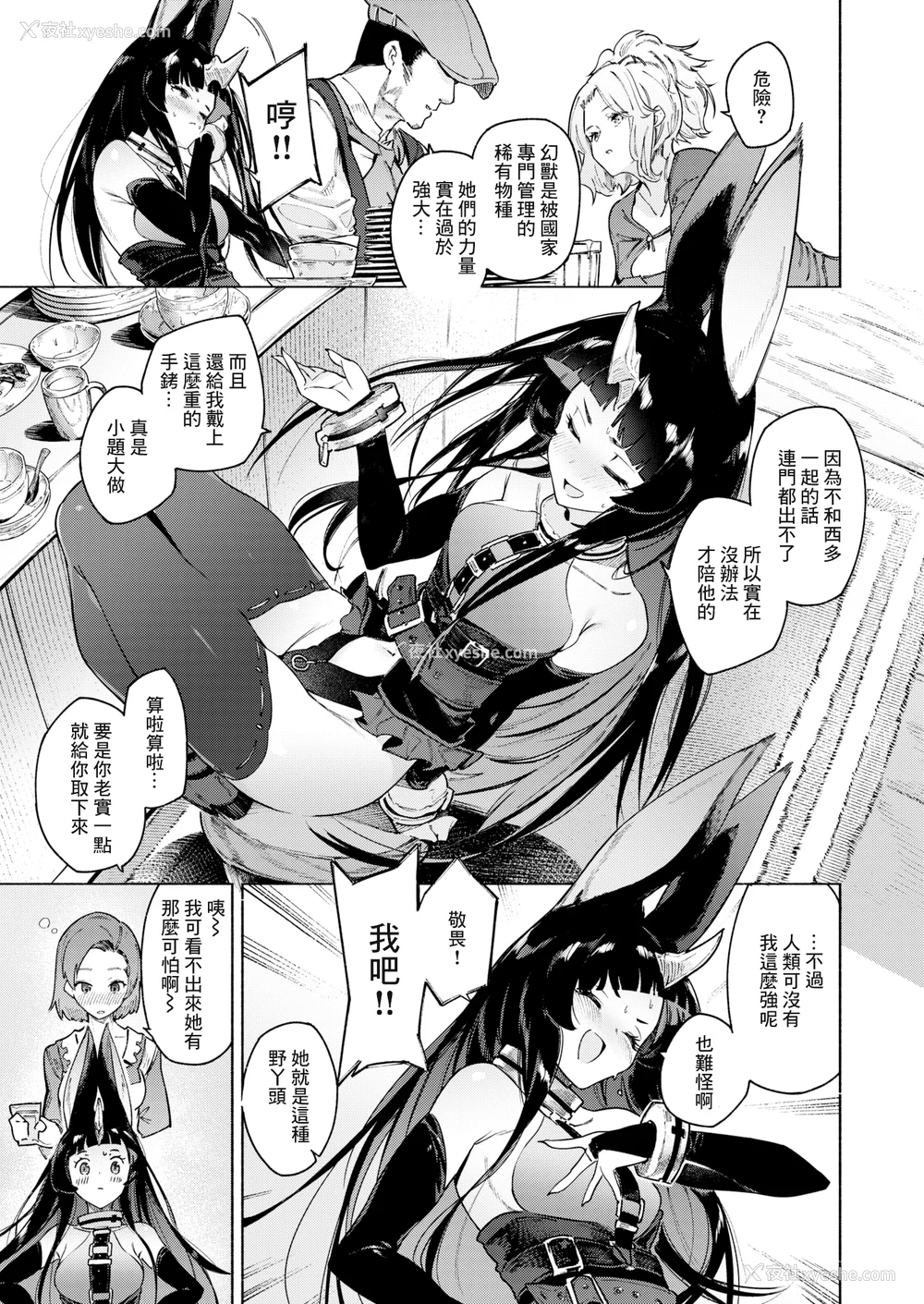 91P - [Croriin] ヤリこみクロニクル～异种族性交记～ [无修正] [DL版]