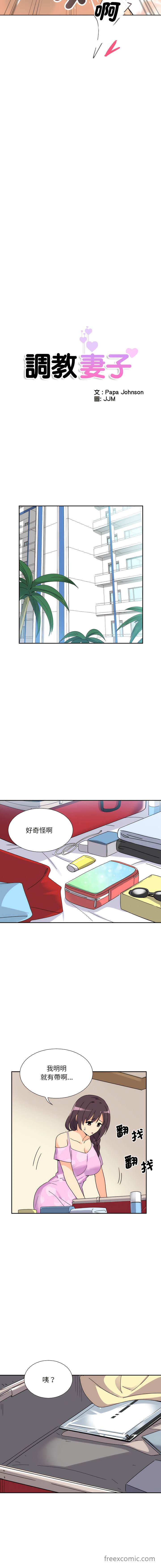 2P - 调教小娇妻/调教妻子