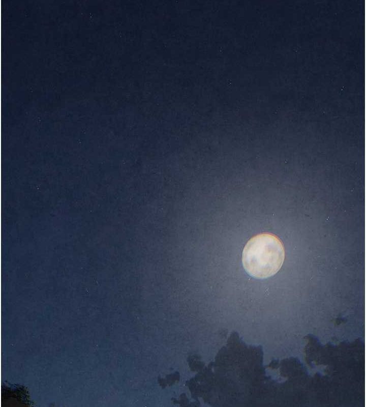 31P - 欲海交锋