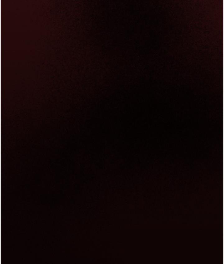 115P - 掠夺行动