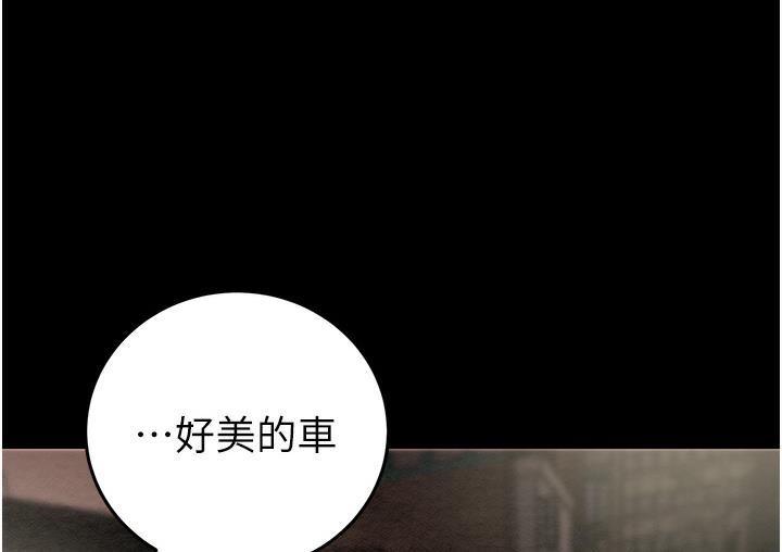 293P - 掠夺行动