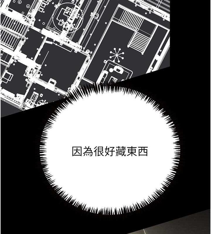 206P - 掠夺行动