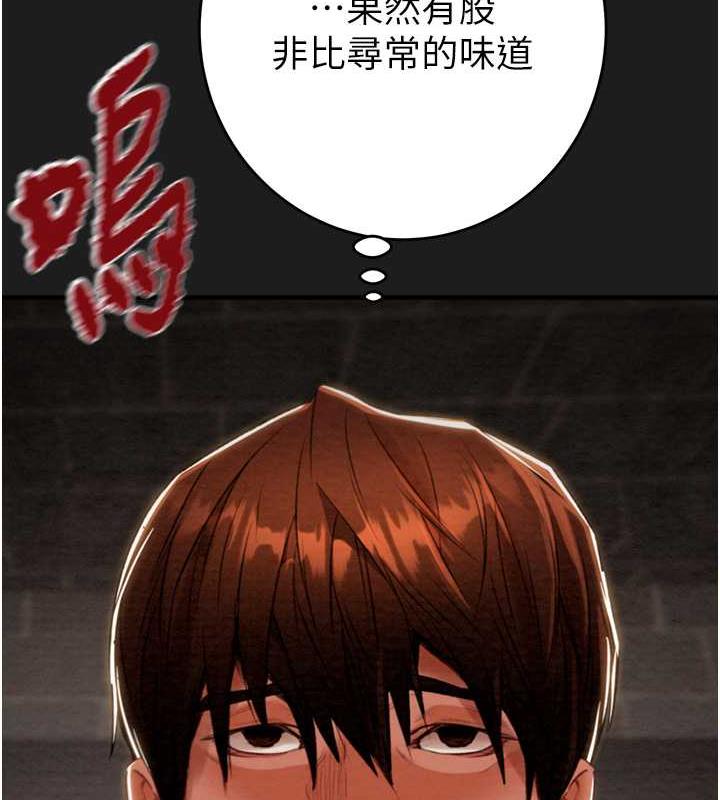 223P - 掠夺行动