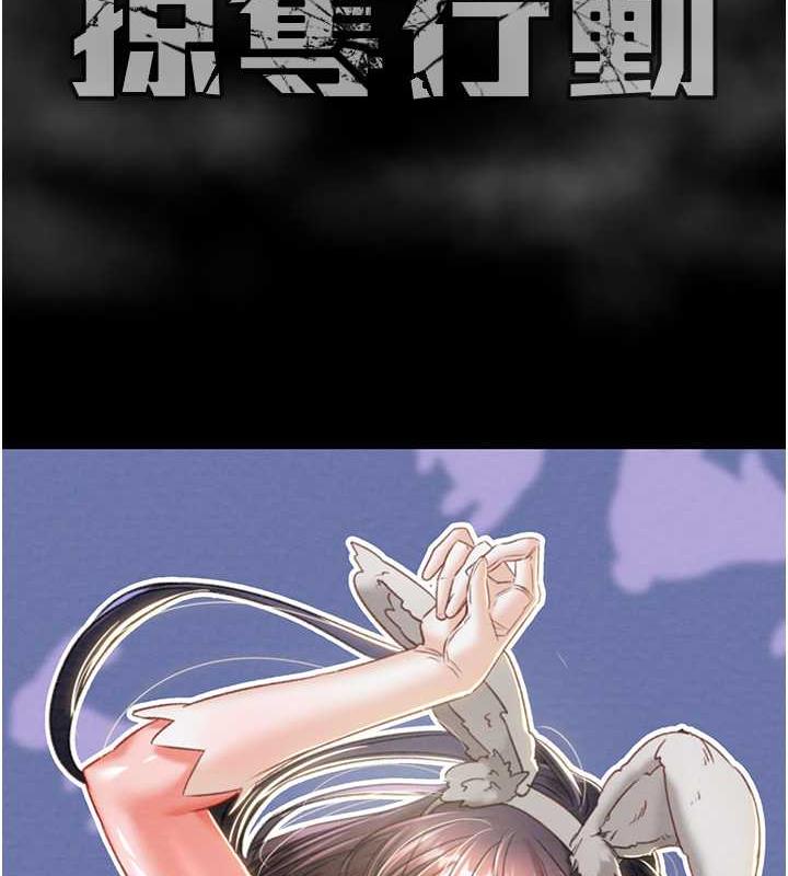 231P - 掠夺行动